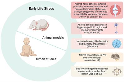 Editorial: Early life events: shedding light on neurobiological mechanisms